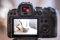 Close up of the screen of a professional digital camera on a tripod while shooting a home composition Royalty Free Stock Photo