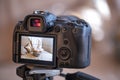 Close up of the screen of a professional digital camera on a tripod while shooting a home composition Royalty Free Stock Photo