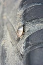 Close up of nail puncturing car tire