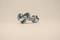 Screw with Nut and Washer lying on the Ground Royalty Free Stock Photo