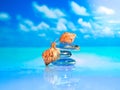 Close-up of sea shell on the beach. Stack of pebble stones and Plumeria at the beach on a wooden surface. Concept Zen, Spa, Summer