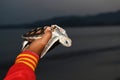 sea turtle in humans hands at Sea Turtles Conservation Research Project in Thailand