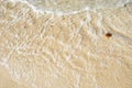 Close up sea water waves on sand beach Royalty Free Stock Photo