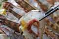 Close up seafood