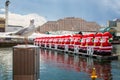 Seagull perched in front of row of gigantic inflatable santas in harbour