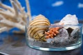 Decorative art, imitated sea in small glass tray