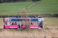 Close up of Seaton tramway replica tram crossing in front of Seaton wetlands nature reserve in Seaton, Devon, UK