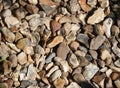 Close-up of a section of a garden gravel path