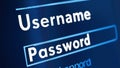 Close-Up of Secure Login Page on a Computer Screen
