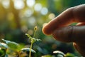 Close-up of a seed on a fingertip, with a blurred greenery background, symbolizing nature and the potential for growth