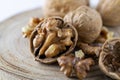 Close up at seed of Walnut Favorite for snack and very delicious.Have a lot of omega 3 for brain.Healthy food concept. on wood bac Royalty Free Stock Photo