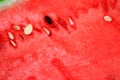 Close up seed watermelon red texture inside details for background Royalty Free Stock Photo