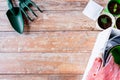 Close up of seedlings, garden tools and seeds