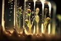 close-up of seeds germinating in test tubes, with droplets of water visible