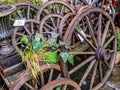 Close up of antique wooden cart wheels for sale
