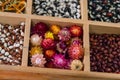 Dried beans and Helichrysum flowers