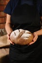 Close-up of a fresh baked whole grain homemade rye bread in the hands of a woman baker dressed in black chef& x27;s apron