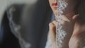 selective focus on the bride lips covored with veil Royalty Free Stock Photo