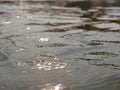 Close up and selective focus of flowing river surface with refelection of the evening sun