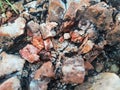 Close Up and Selective Focus of Granite Porphyry Stones, Great for Geology Purposes