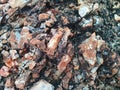 Close Up and Selective Focus of Granite Porphyry Stones, Great for Geology Purposes