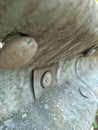 Close-up and selective focus of a guardrails bolt crash-absorber beam.