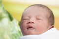 One day old, newborn baby. Royalty Free Stock Photo