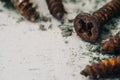 Close up selective focus of rusty screws. old steel bolts on grungy white wood background Royalty Free Stock Photo