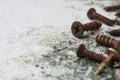 Close up selective focus of rusty screws. old steel bolts on grungy white wood background Royalty Free Stock Photo