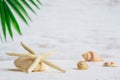 Close up selective focus of starfish and sea shells with green palm leaf background. Background concept for Summer time holiday Royalty Free Stock Photo