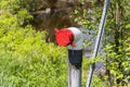 Closeup of a dry fire hydrant by river Royalty Free Stock Photo