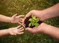 Senior hands giving small plant to a child Royalty Free Stock Photo