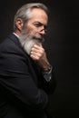 Mature male model wearing suit with grey hairstyle and beard Royalty Free Stock Photo