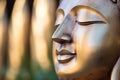 close-up of a serene buddha face sculpture