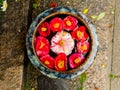 Close up of a set of cattleya orchid red flowers and stone as oblation over a stoned ground in Japan Royalty Free Stock Photo