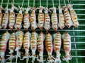 Set of Grilled Squid Skewers For Sale at Market Stall