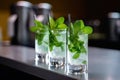 close-up of set of mojito cocktail glasses and mint sprigs