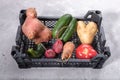 Close-up set of ripe ugly vegetables in plastic box on grey concrete background.