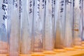 Close-up of a set of strains of bacteria in test tubes. Royalty Free Stock Photo
