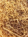 Close up of sevaiya or vermicelli is made out of maida that is ground from very hard wheat