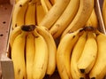 Close up bunches of ripe bananas on retail display