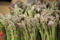 of several bunches of green asparagus Royalty Free Stock Photo