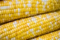 Close up of several ears of corn Royalty Free Stock Photo