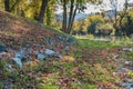 Close up several tree and ground covered with leaves in the forest with river in the background Royalty Free Stock Photo