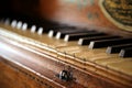 Close up shallow focus shot of a vintage piano or harpsichord keyboard, made of ebony, ivory and hardwood Royalty Free Stock Photo