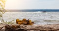 A close-up of shards of a broken glass bottle against the background of water and a passing boat after people resting on the river