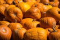 Close Up Sharp Focus on Pumpkins in the Front of a Massive Pile of Pumpkins for Halloween