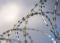 Close up sharp pointed razor wire barb fence coiled on top of prison wall keeping secure prisoners in and criminals out Royalty Free Stock Photo
