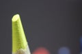 Macro view of the tip of the pencil on a black background Royalty Free Stock Photo