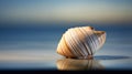 A close up of a shell on the beach with water, AI Royalty Free Stock Photo